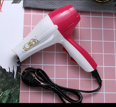 Hot & Cold Hair Dryer with 6-Speed Control and Negative Ion Technology