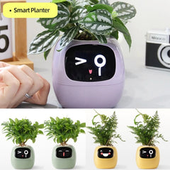 Smart Planter with AI & Sensors – Interactive Plant Care System