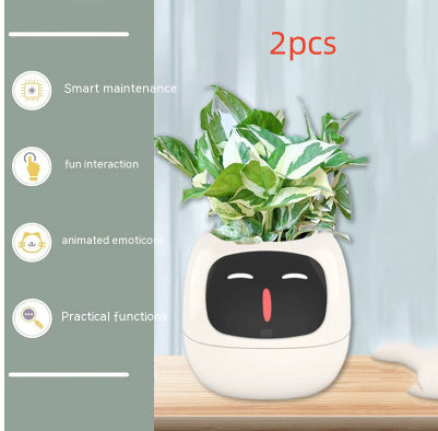 Smart Planter with AI & Sensors – Interactive Plant Care System