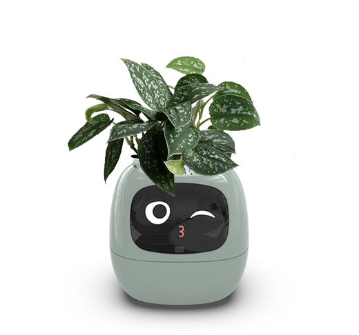 Smart Planter with AI & Sensors – Interactive Plant Care System